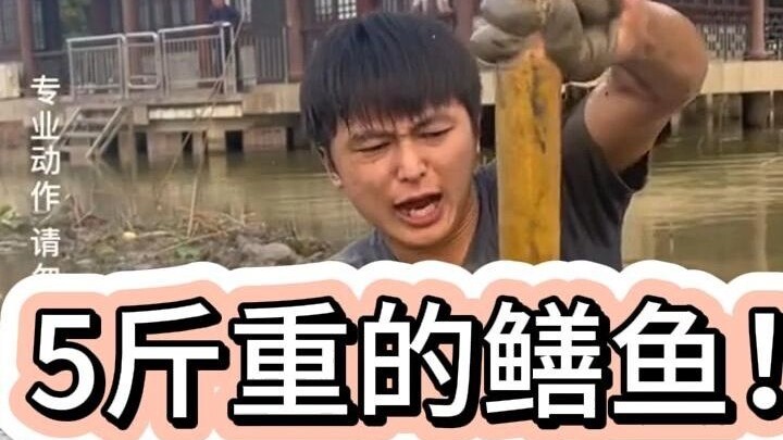 Từ khi khỉ nước bắt lươn đến nay, đây là con lươn to nhất nó từng bắt được! Nặng tới 5 cân, đúng là 
