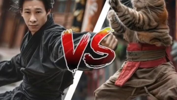 Kungfu cat