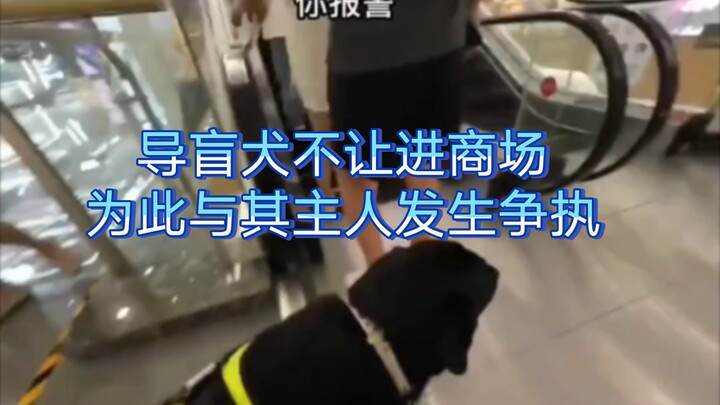 เมื่อเร็วๆ นี้ ห้างสรรพสินค้าแห่งหนึ่งในซานย่าเกิดข้อพิพาทกับเจ้าของสุนัขนำทาง…โดยยืนกรานว่าสุนัขนำท