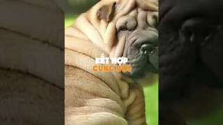 Deadpool nhận xét bản thân giống Ryan Reynolds #w2w #fyp