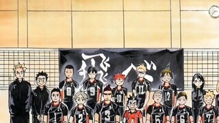 Karasuno All Members Report