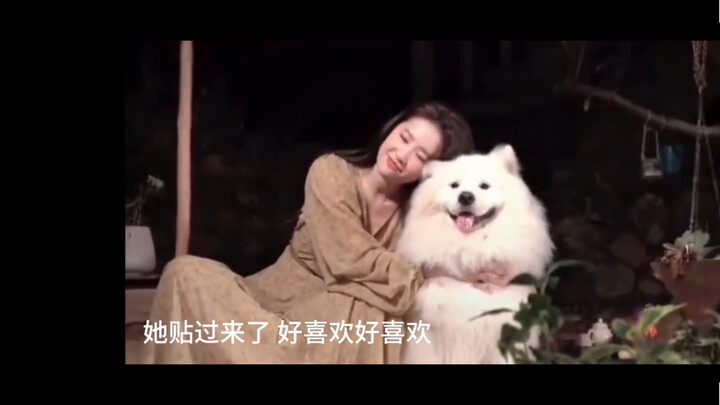 หลิวอี้เฟยชอบเจ้ายี่ยี่ตัวนี้มากเลย หมาทุกตัวก็ชอบคนใจดีและสวยไง ฮ่าๆๆ