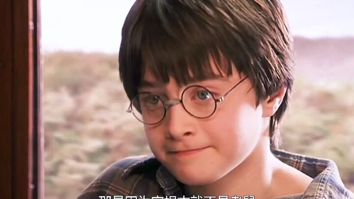 Berapa banyak fakta menarik yang jarang disadari dalam “Harry Potter” yang kamu ketahui?