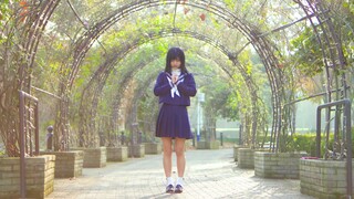 【toba】hide and seek【2024 ver.】