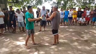 akala nila mahina ang manok ko yun pala mamaw it's a frank