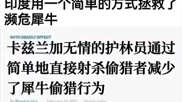 มีมตลกประจำวัน 356