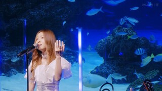 Mai Kuraki - Secret Of My Heart [2024.09.22]