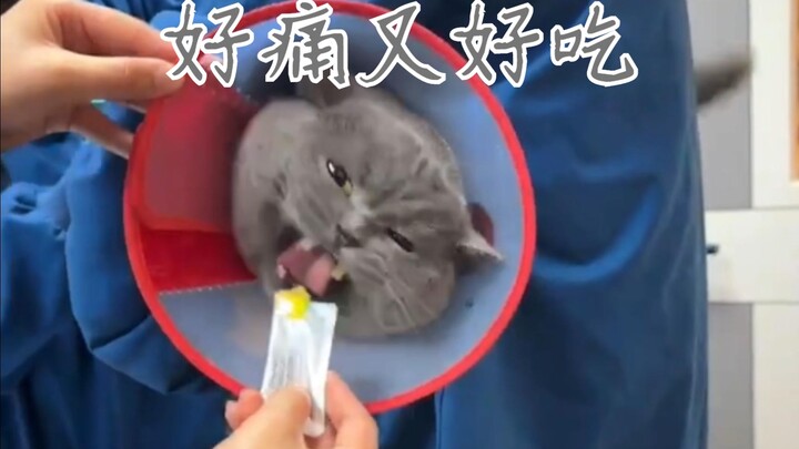 一针触发语言神经