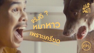 (EN) หมาหาว ...ทำไม ? ( ทดลอง ) - มหึหมา EP1