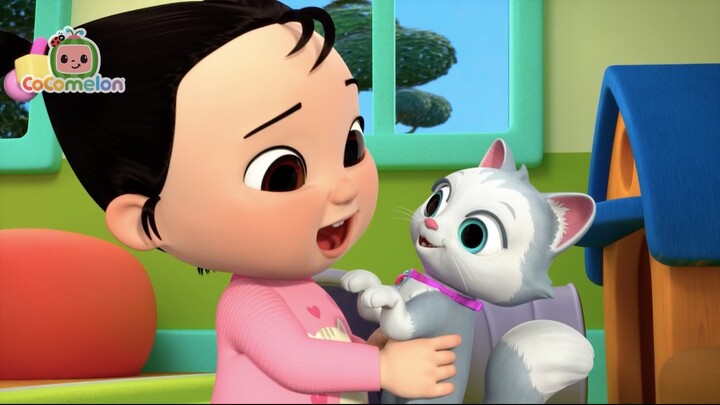 Play with Cats 🐈 | Cece Had a Little Cat | Animals and Pets | ENGLISH FOR KIDS