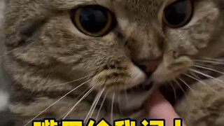 Bị bạn gái nhỏ xóa rồi