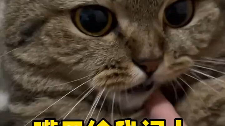 被小女友删掉了