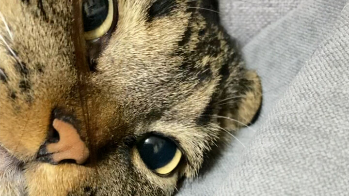 ตอน: ฉันเหนื่อยแล้ว ทำอะไรก็ได้แหละ