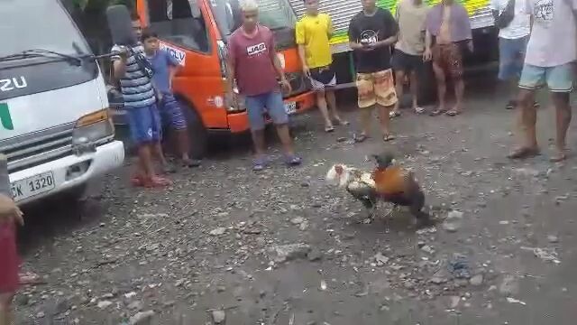 tinola line ko Talisay in😁