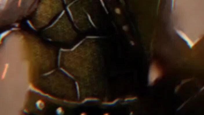 SEANDAINYA BELIAU MASIH HIDUP DI DUNIA KASAT MATA INI.