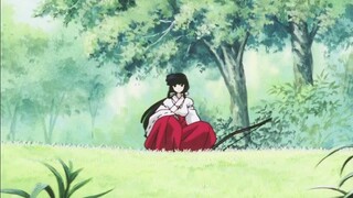 Khi nói về những mỹ nhân xinh đẹp trong anime, điều đầu tiên người ta nghĩ đến chính là Platycodon, 