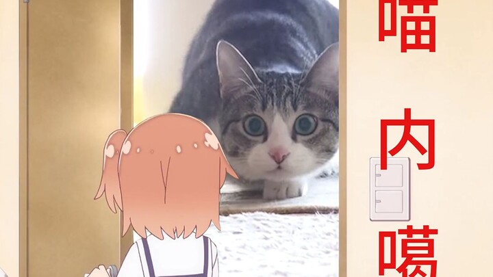 喵内噶，多洗大喵内