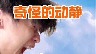 什么动静？害挺可爱