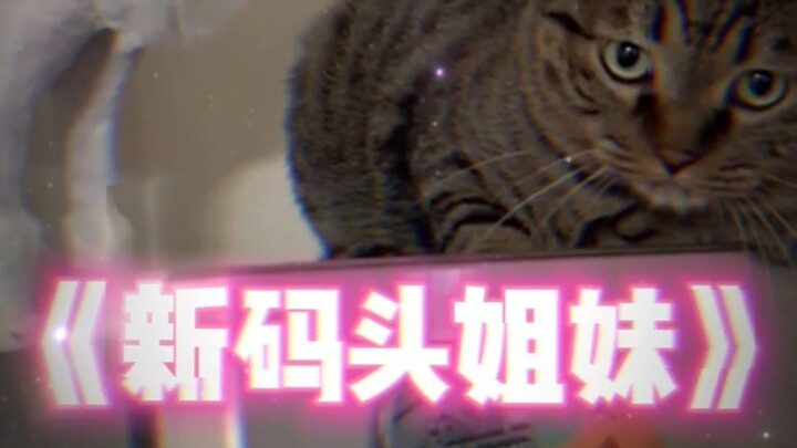 الأخوات الجدد في الرصيف البحري