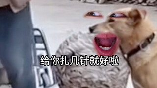 《医学の奇迹》