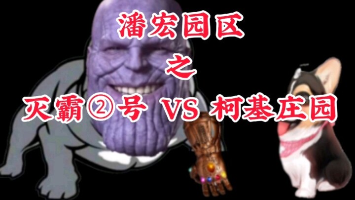 Pan Hong Park’s Thanos No. 2 vs. Corgi Manor