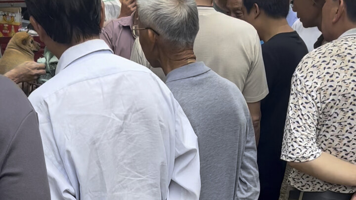 Where there's a crowd, there's a good dog!