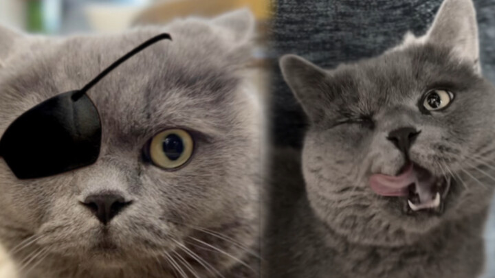Save the big eyes of Kazilan who can’t *