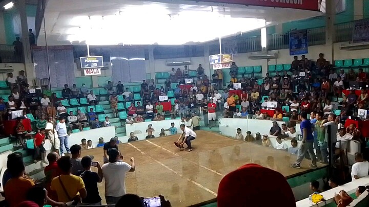 mahiwaga ang sabong