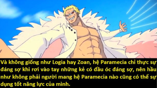 Những Trái Ác Quỷ của đội quân Big Mom lấy từ đâu? p3