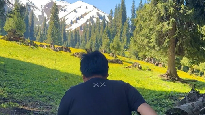 Is this the scenery that appeared in your dreams?