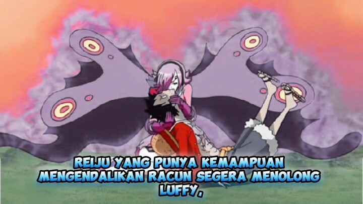 Hampir mati! Ini dia 9 sosok yang pernah menyelamatkan Luffy