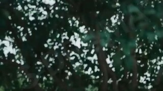 กล่องที่เชื่อมโยงอดีตและปัจจุบัน