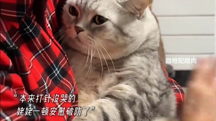 “The cats and dogs raised by grandparents are just children in front of them.”
