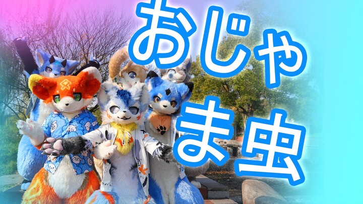 【رقص الفروسوت】 اليوم ما بديش إلا أكون "مشكلتك المحبوبة" ~♡