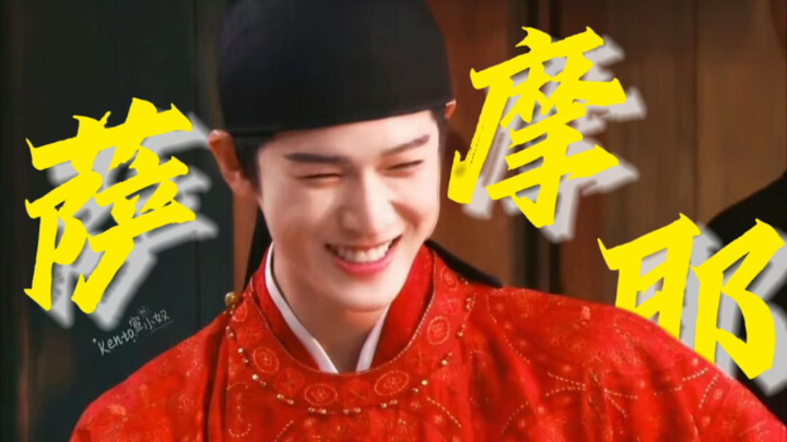 【หลี่หยุนรุ่ย】ซาโมเยดขนฟูนุ่ม ผิวสัมผัสดี รสชาติดีเยี่ยม