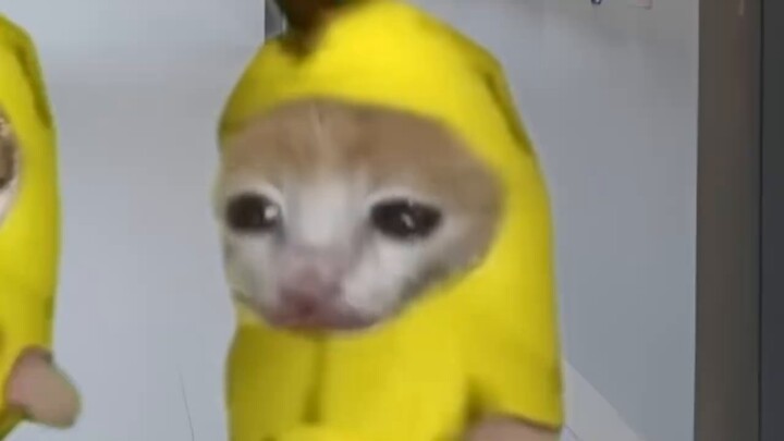 Loạt bài vui chơi tại trường 7.0