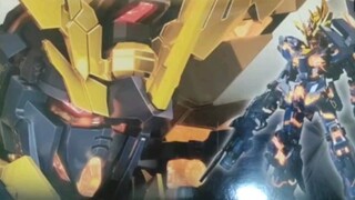 [Reset Kesejahteraan Penggemar] Kirim RG untuk berduka~