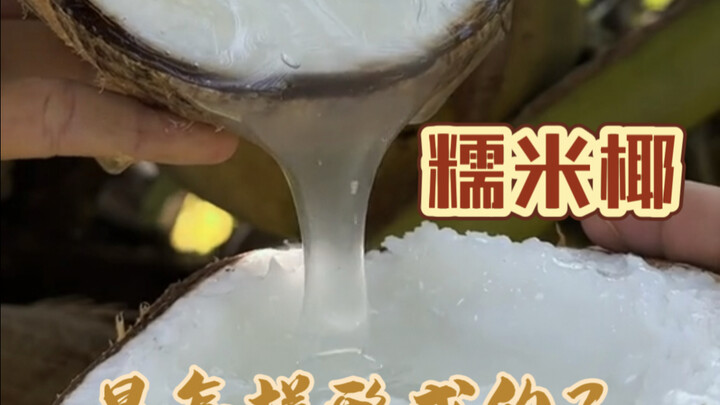 How exactly is glutinous coconut formed—is it a special variety of coconut?