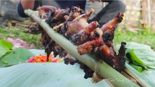 ĐẶC SẢN NƯỚNG MỌI • Trải Nghiệm Hoang Dã • Ẩm Thực Miền Miền Núi | Nhịp Sống Thường Ngày