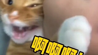 不要啊