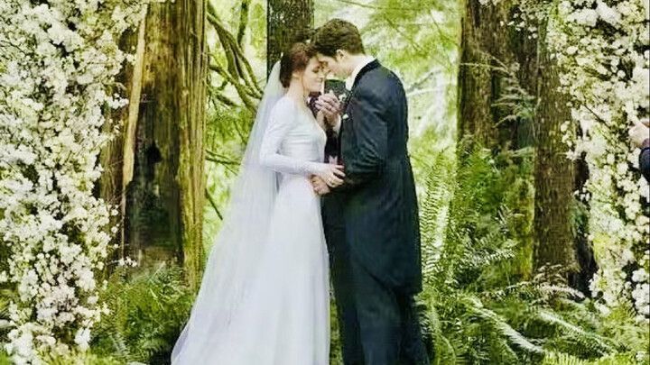 The ultimate Mary Sue I watched as a kid—can you believe the author actually showed up at this weddi