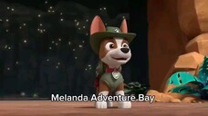 Paw patrol Musim 11 Episode 18 original mix indonesia song