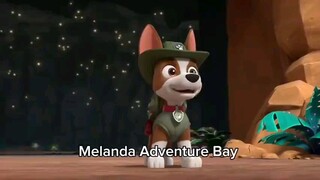 Paw patrol Musim 11 Episode 18 original mix indonesia song