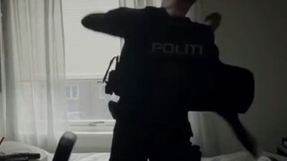 Anders Breivik edit 4