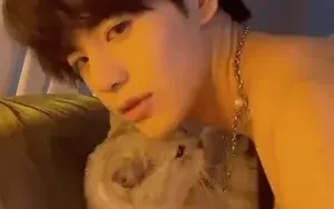 รับแมวเพิ่มอีกตัวมั้ยคะ เมี๊ยวว🥺