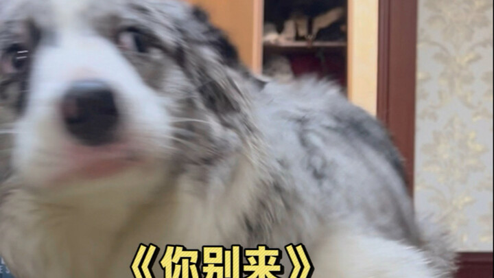 الدماغ الأيسر: حماية الطعام؛ الدماغ الأيمن: دحض حماية الطعام