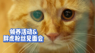 Bulat yang murung sedang "online" dan beroperasi; acara adopsi langsung pertama benar-benar menyenan