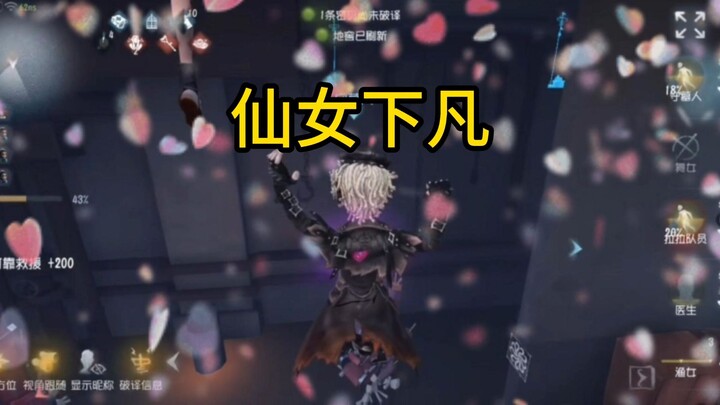 Membawa rekan satu tim turun dari surga bersama-sama 【Rekan Tim Misterius dalam Identity V #165】