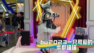 bw2023（23号）一只可爱的柴郡猫猫