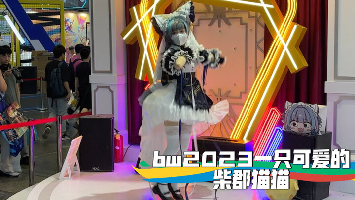 bw2023（23号）一只可爱的柴郡猫猫